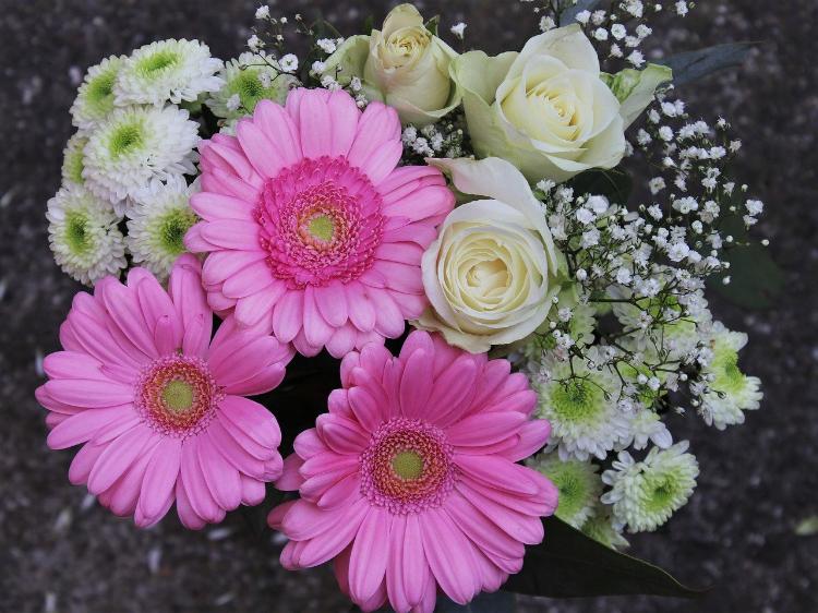 次期社長と訳あり偽装恋愛