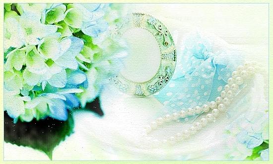 結婚白書Ⅰ　【違反切符】