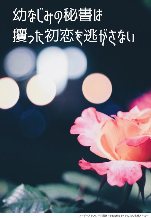 幼なじみの秘書は攫った初恋を逃がさない