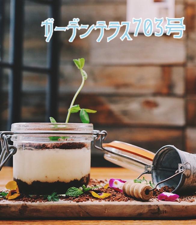 ガーデンテラス７０３号