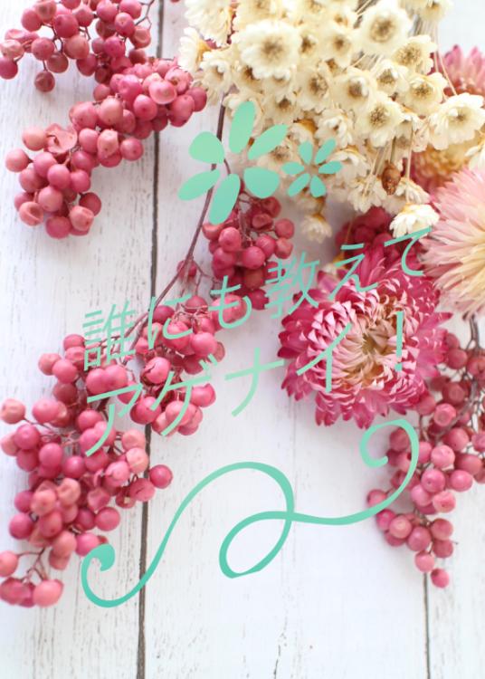 誰にも教えてアゲナイ！