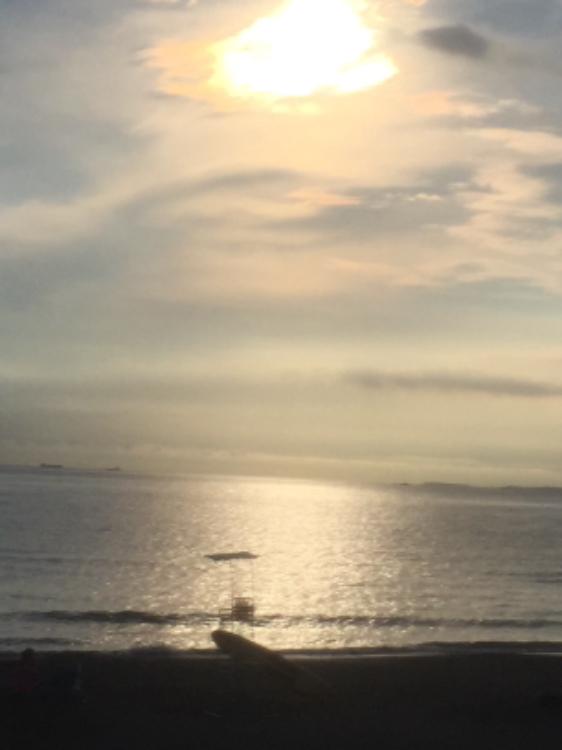 名前を教えてあげる。