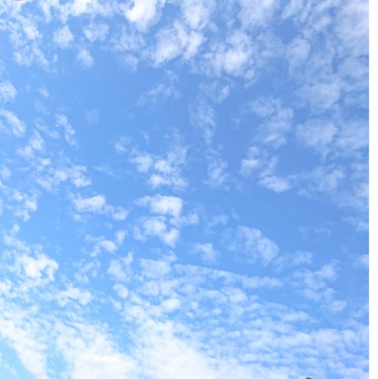 教えて、世界。【短編】