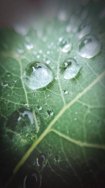 甘い罠に囚われて