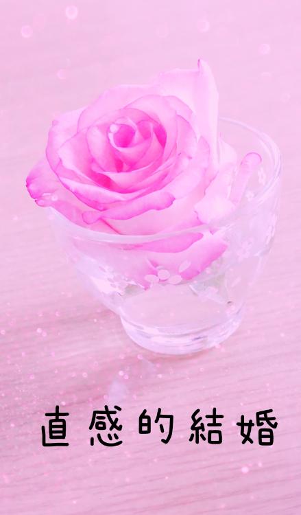 直感的結婚～恋はこれから～