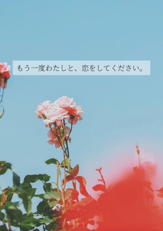 もう一度わたしと、恋をしてください。