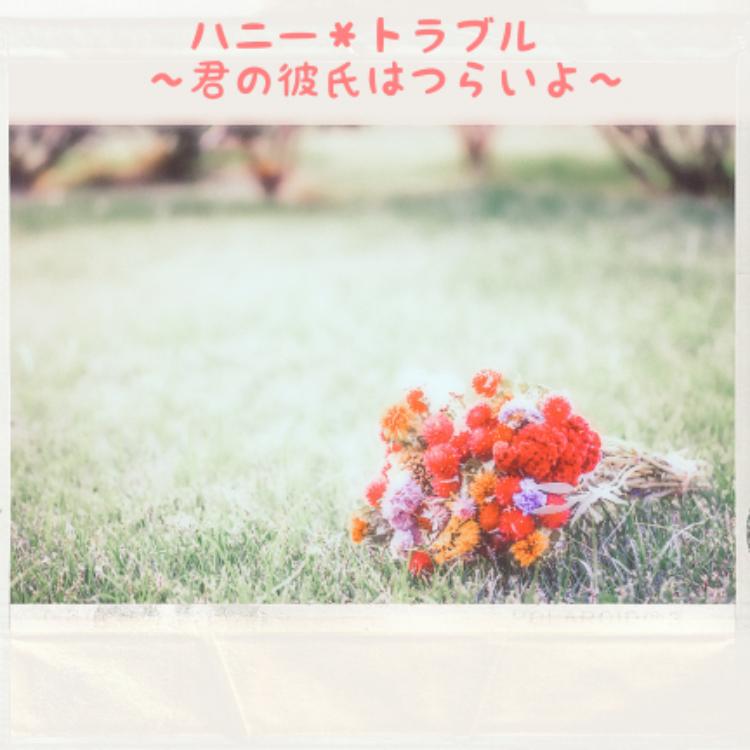 ハニー＊トラブル～君の彼氏はつらいよ～