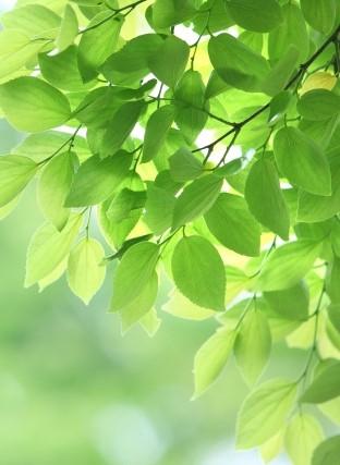 未練と祝福　〜１４年目の永遠の誓い　番外編(3)〜