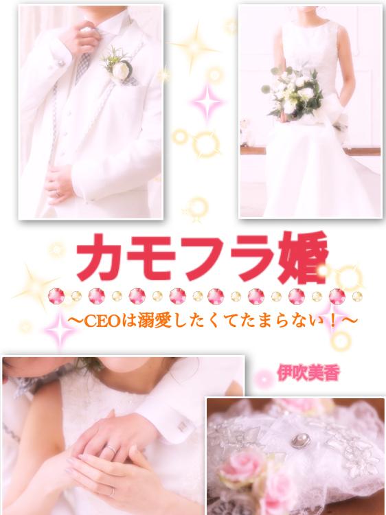 カモフラ婚～CEOは溺愛したくてたまらない～