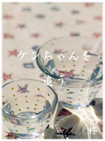 ケンちゃんを追う