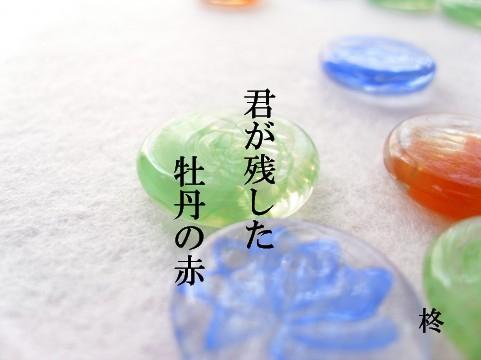 君が残した牡丹の赤