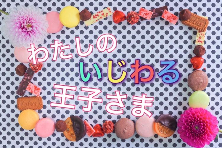 わたしのいじわる王子さま