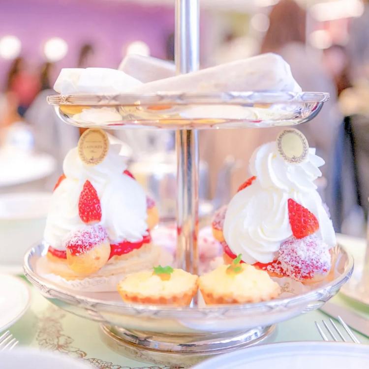 食べて吐いて狂って