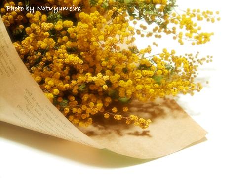 不条理な恋　　　理不尽な愛　　（ベリカ版）【完】