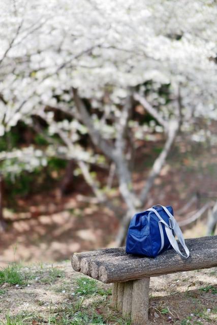 もう、離れるな　〜地味子×チャラ男の一途すぎる両片思い〜