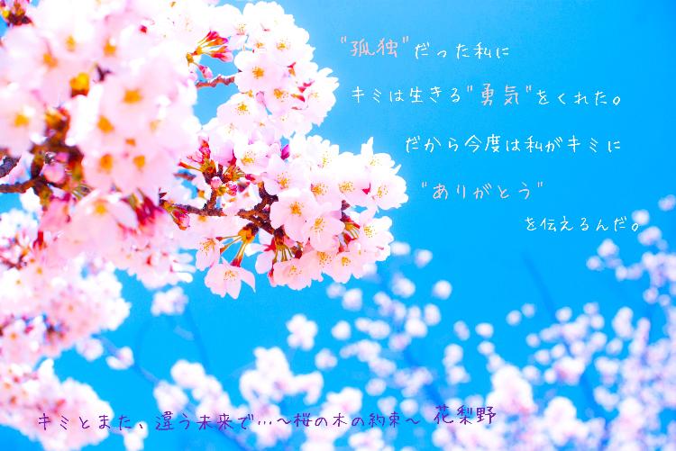 キミとまた違う未来で、この桜を見上げよう。