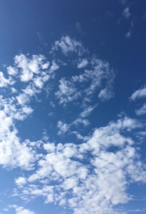 緑の風と小さな光  第２部