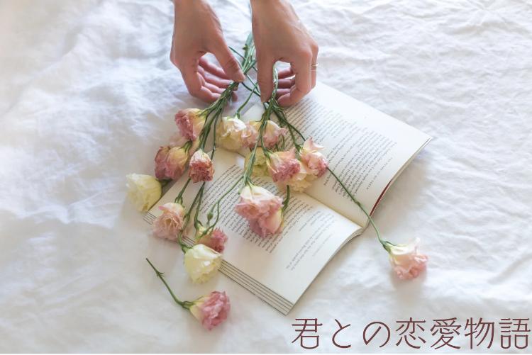 君との恋愛物語～私の溺愛彼氏～