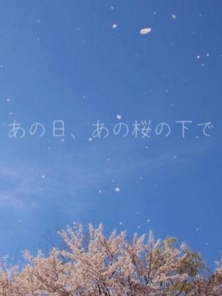 あの日、あの桜の下で