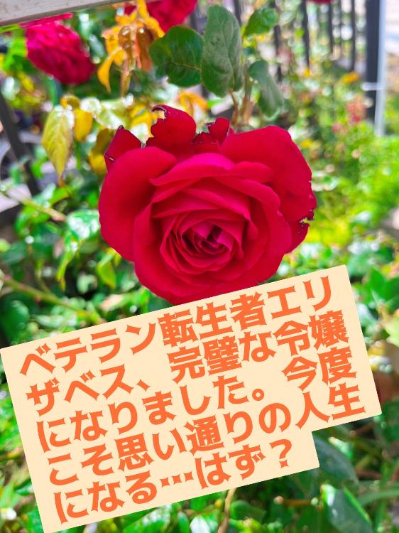 ベテラン転生者エリザベス、完璧な令嬢になりました。今度こそ思い通りの人生になる…はず？
