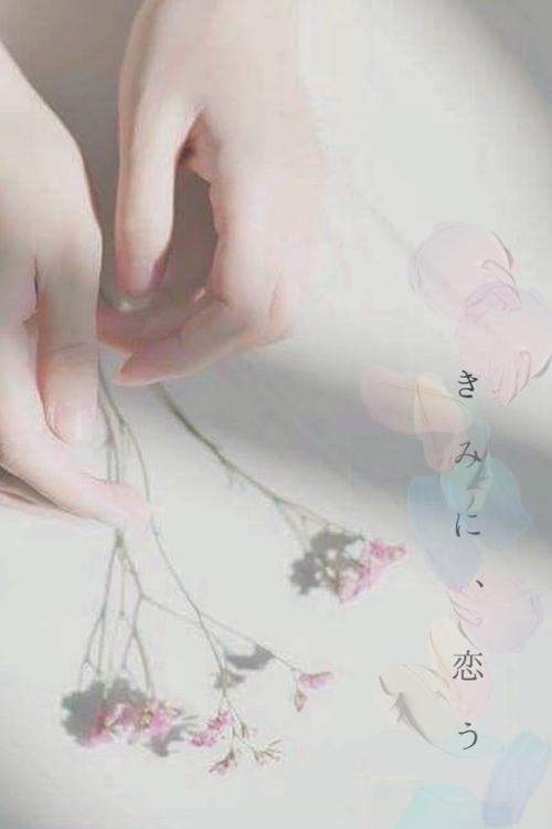 きみに、恋う