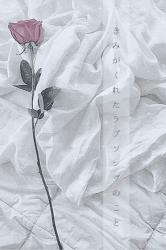 ラブソング の作品一覧 人気順 小説サイト ベリーズカフェ