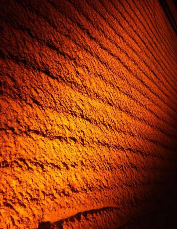 さよなら尾崎くん