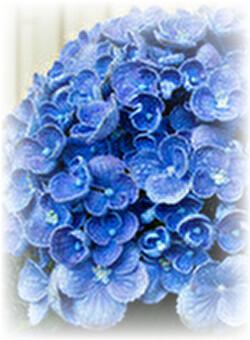 隣の席の不思議系彼女