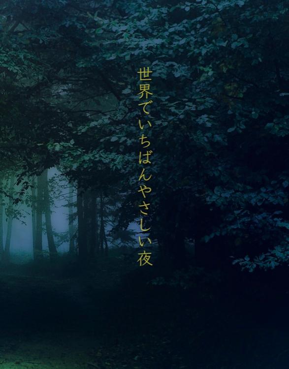 世界でいちばんやさしい夜