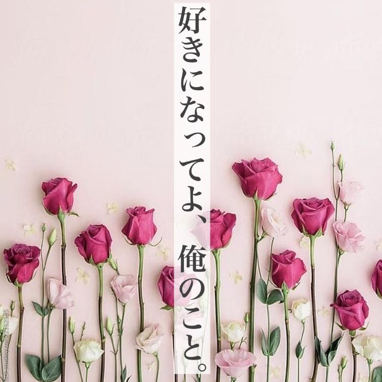 好きになってよ、俺のこと。