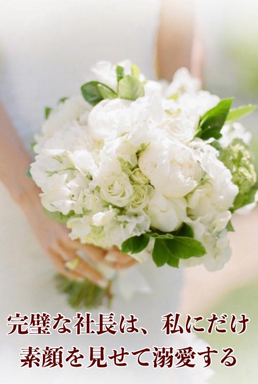 完璧な社長は、私にだけ素顔を見せて溺愛する