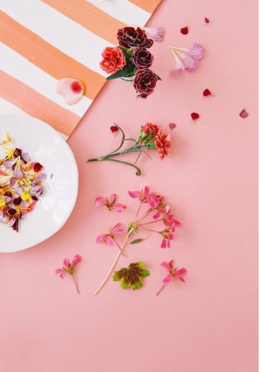 《番外編SS集》i love…*