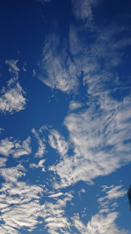 手をのばせど…