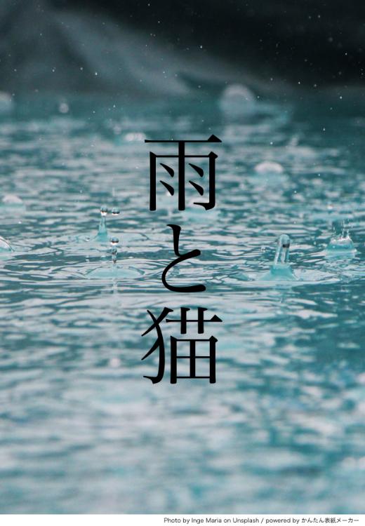 雨と猫