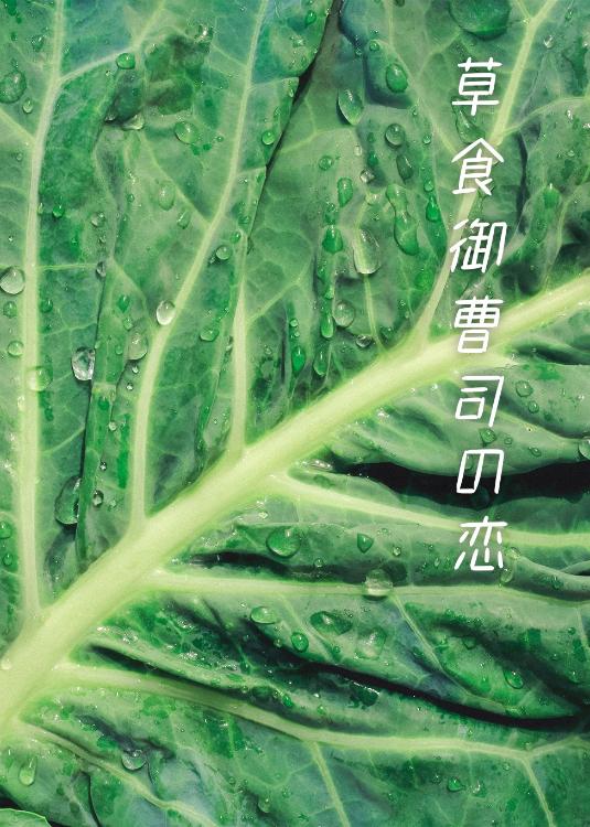 草食御曹司の恋