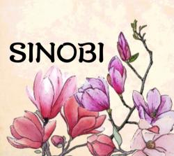 SINOBI  隠苑の国に咲く花
