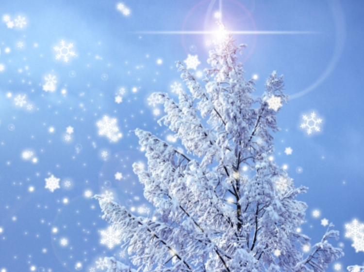 見守り愛 〜ビタースイートな副社長と一目惚れの恋を成就したい〜＊おまけ終了＊