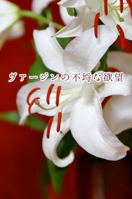 ヴァージンの不埒な欲望