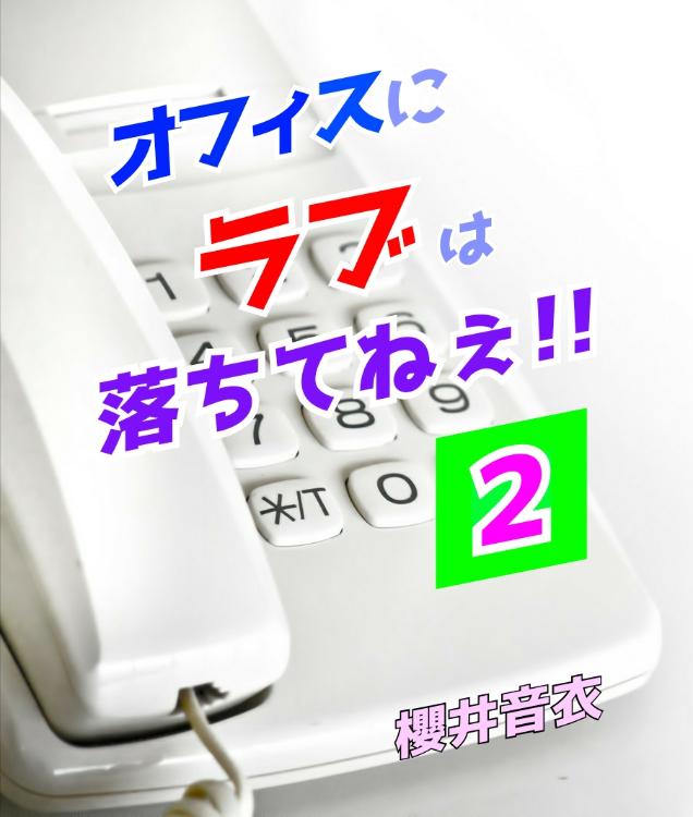 オフィスにラブは落ちてねぇ!! ２