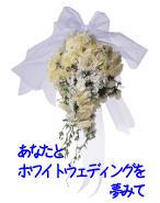 あなたとホワイトウェディングを夢みて