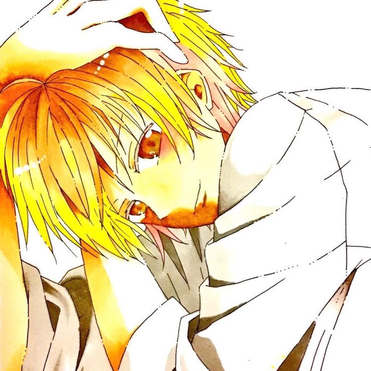 気まぐれ猫くんの手懐け方