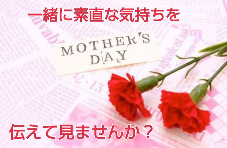 カーネーション