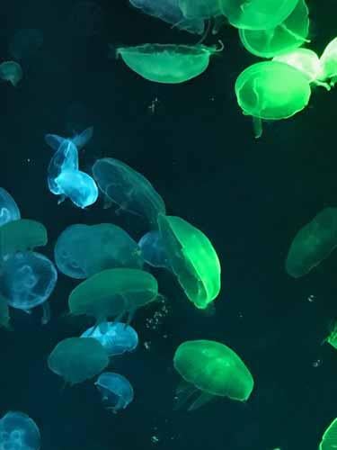 王様と私のただならぬ関係