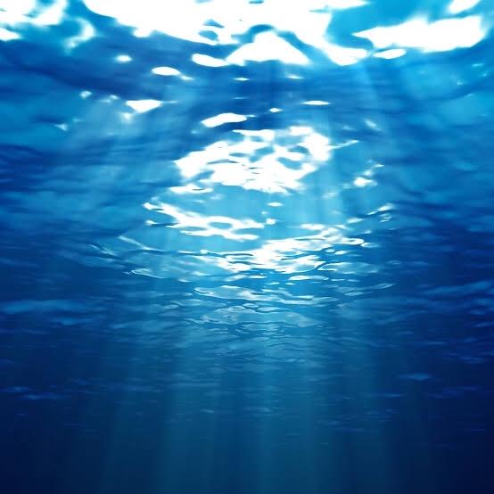 サヨナラは海の中