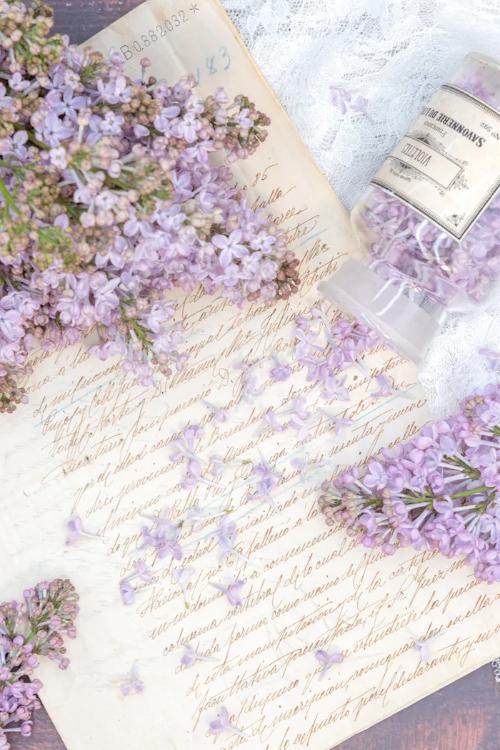 悪魔な国王陛下は、ワケあり姫をご所望です。