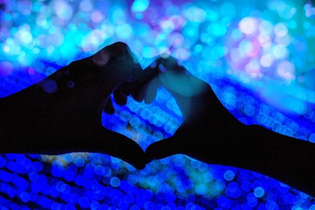 兄の溺愛がマジでウザいんですけど……《完》