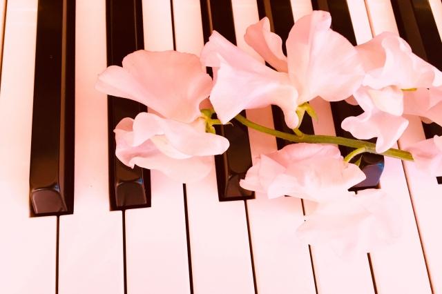 Reality～切ない恋の唄～