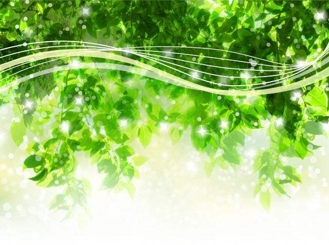 正しい『玉の輿』の乗り方