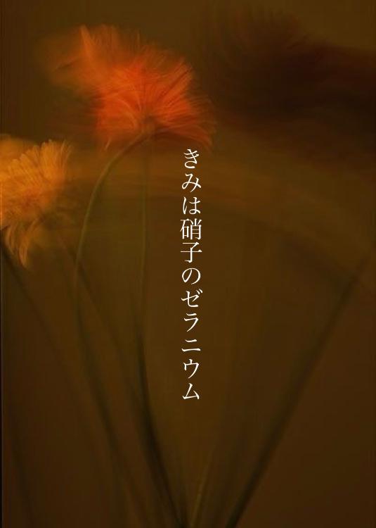きみは硝子のゼラニウム