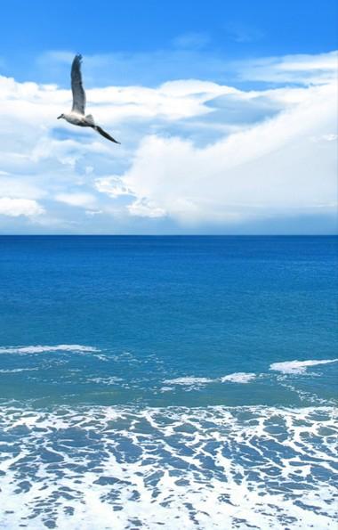 愛してるなんて言わない(仮)